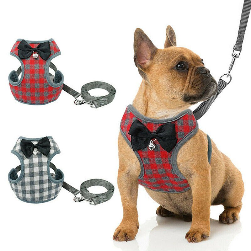 Classic Dog Leash - Durable Nylon Lead for Daily Walks - Freddie & Wilson