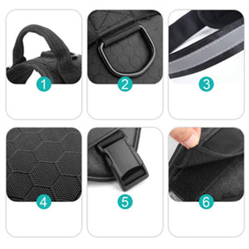 Dog Vest Harness with Leash - Comfortable Chest Strap for Walking - Freddie & Wilson