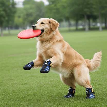 Dog Running Shoes - Diving Fabric Sports Sneakers for Indoor & Outdoor - Freddie & Wilson