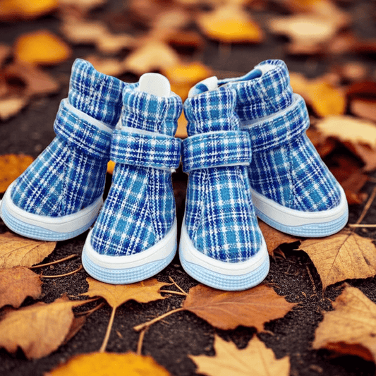 Dog Sports Shoes - Breathable Athletic Pet Sneakers - Freddie & Wilson