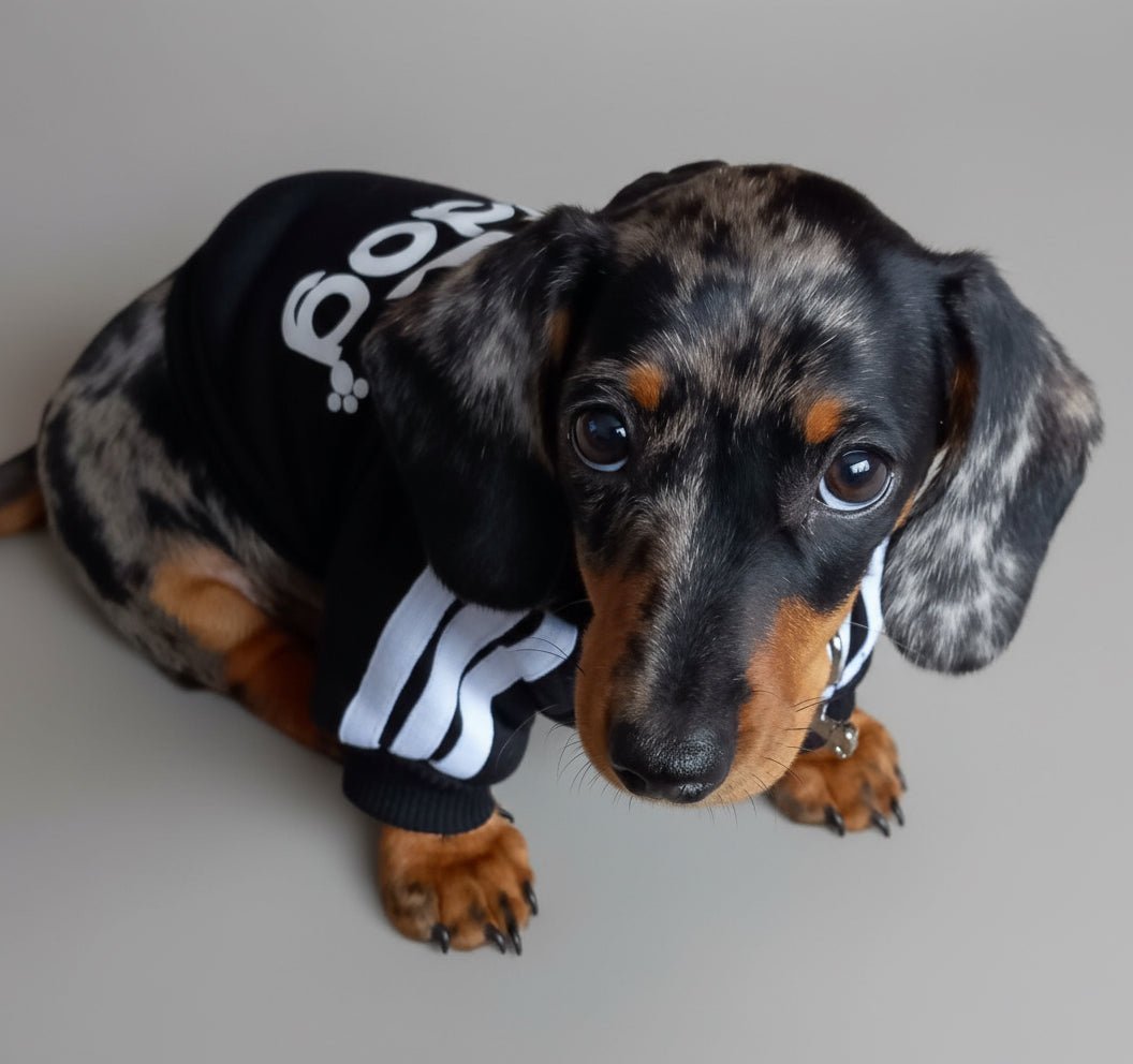 Dog Fleece Hoodie - Winter Warm Sweatshirt - Freddie & Wilson