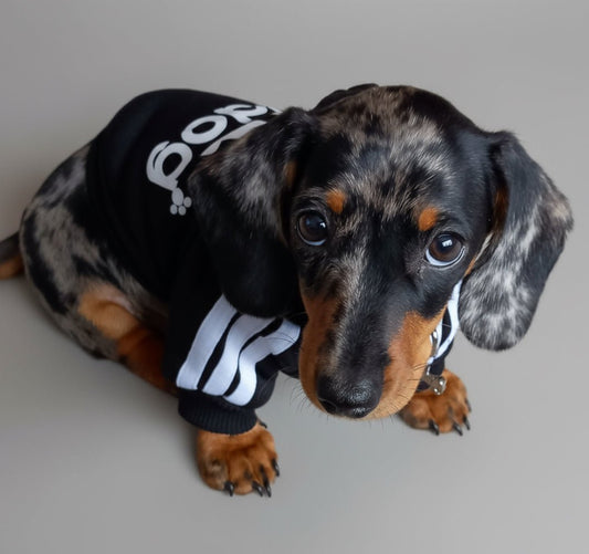 Dog Fleece Hoodie - Winter Warm Sweatshirt - Freddie & Wilson