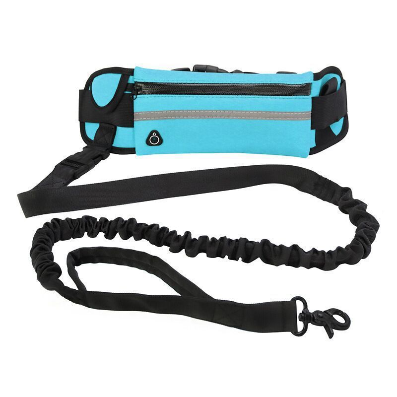 Pet Purse Dog Leash - Hands - Free Walking with Storage Pouch - Freddie & Wilson