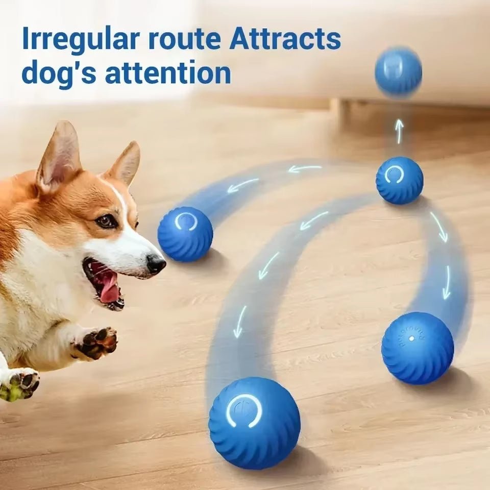 Smart Dog Toy Ball - Automatic Electronic Interactive Training Pet Toy - Freddie & Wilson