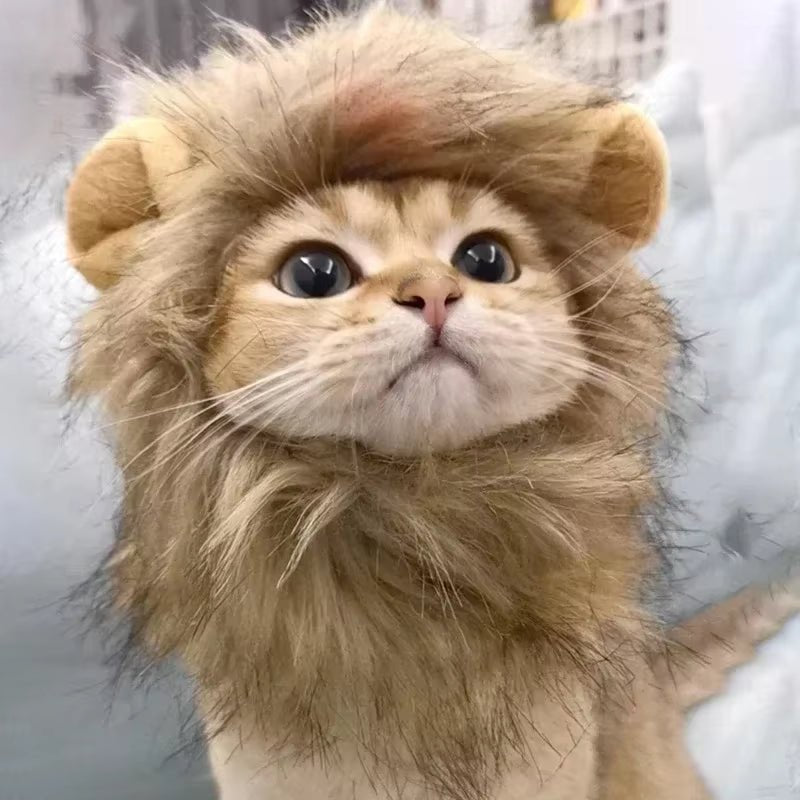 Cat Lion Mane Costume - Pet Hat for Halloween & Christmas - Freddie & Wilson