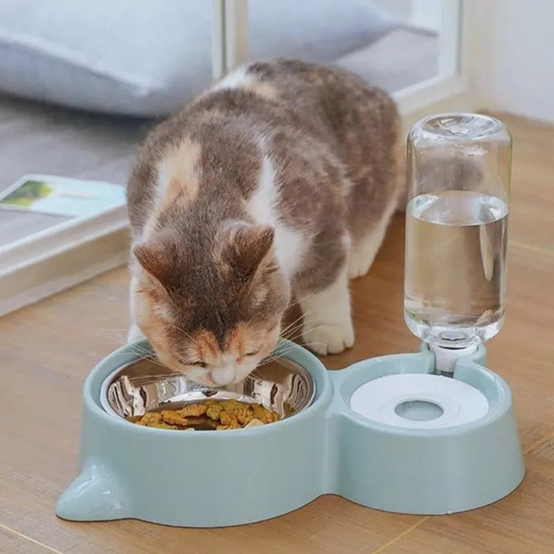 Automatic Pet Water Fountain - Gravity - Fed Bowl for Cats & Dogs - Freddie & Wilson