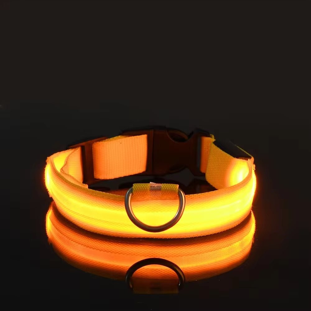 LED Night Safety Dog Collar - Nylon Glow in the Dark Pet Collar - Freddie & Wilson