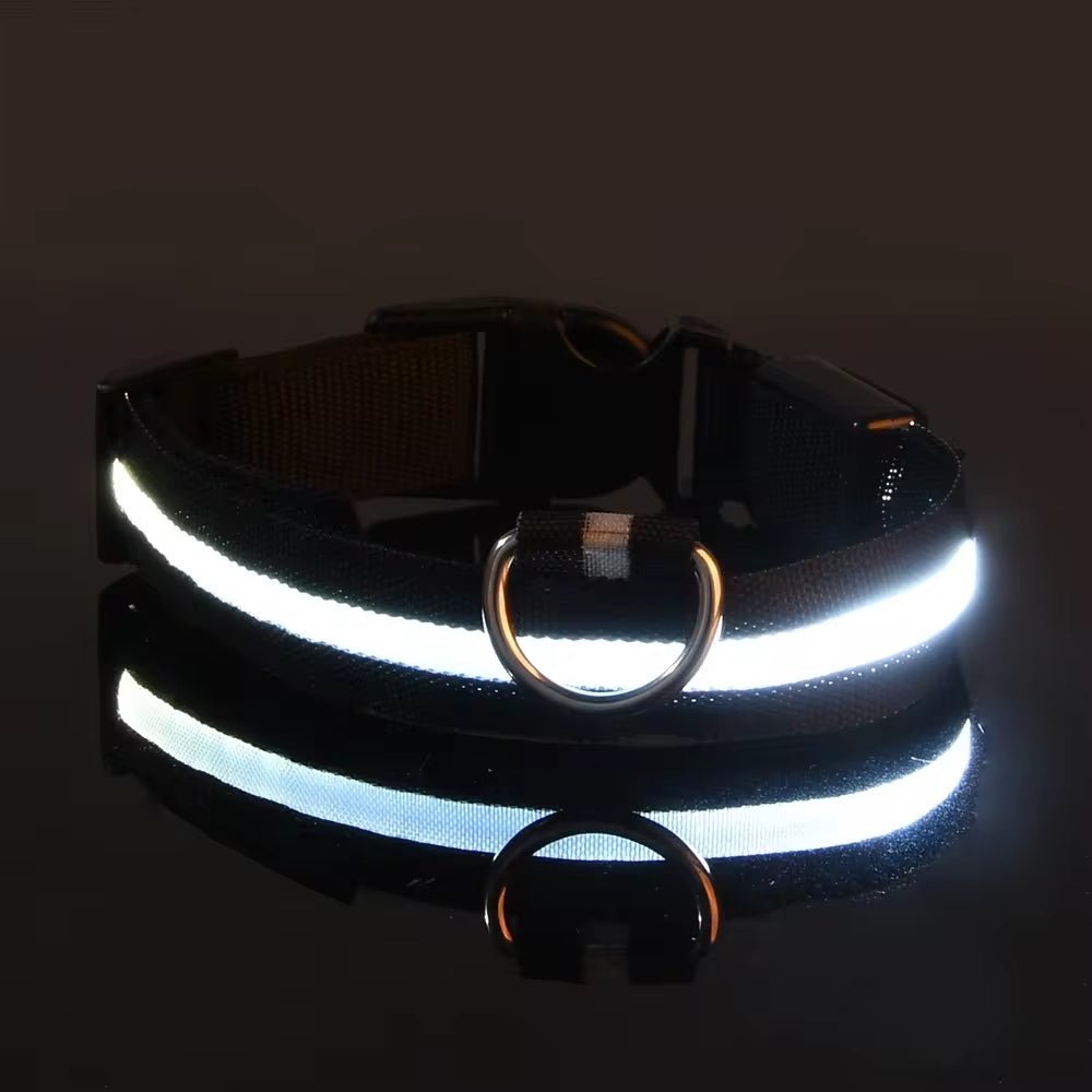 LED Night Safety Dog Collar - Nylon Glow in the Dark Pet Collar - Freddie & Wilson
