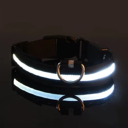 LED Night Safety Dog Collar - Nylon Glow in the Dark Pet Collar - Freddie & Wilson