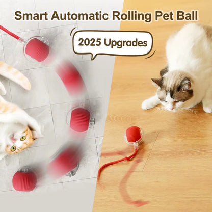 Cat Interactive Ball Toy, Automatic Rolling Ball with Tail, Rechargeable Smart Pet Interactive Toy, Intelligent Mouse for Cat - Freddie & Wilson