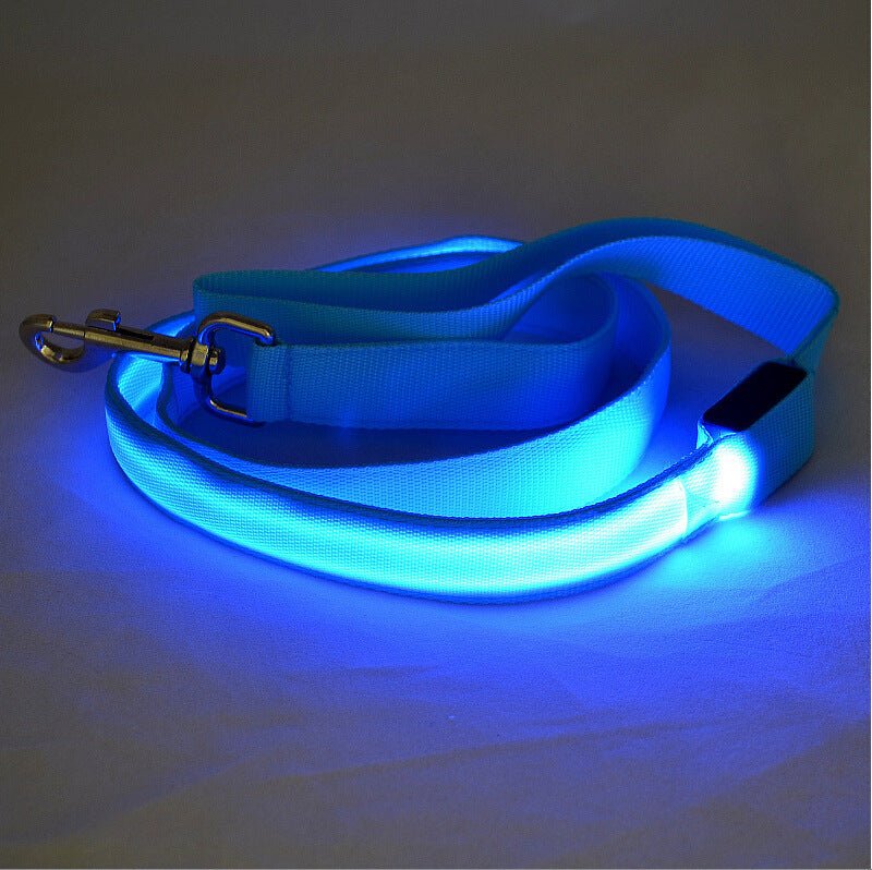 Glowing LED Dog Leash - Light Up Pet Lead for Night Safety - Freddie & Wilson