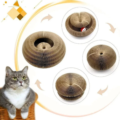Foldable Cat Scratching Board - Eco - Friendly Cardboard Scratcher - Freddie & Wilson