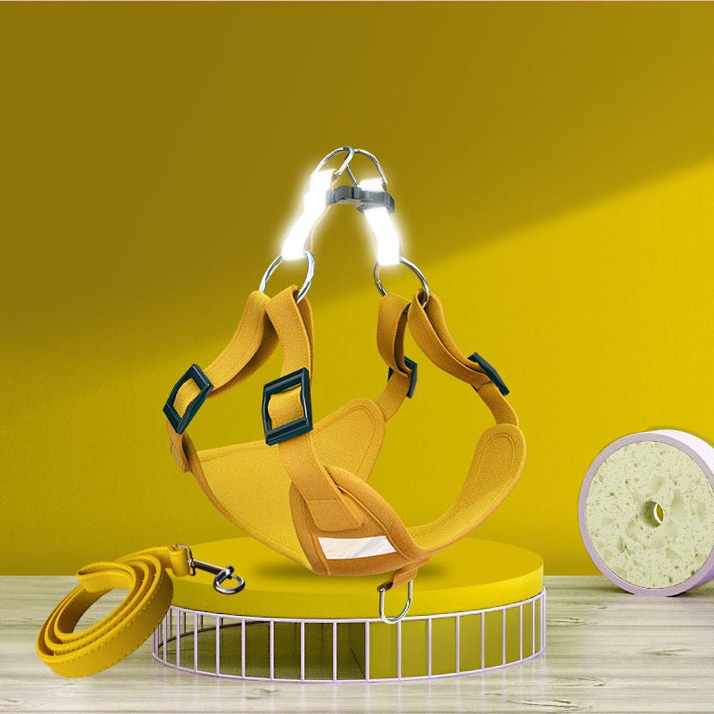 Reflective Dog Harness & Leash Set - High Visibility Vest for Night Safety - Freddie & Wilson