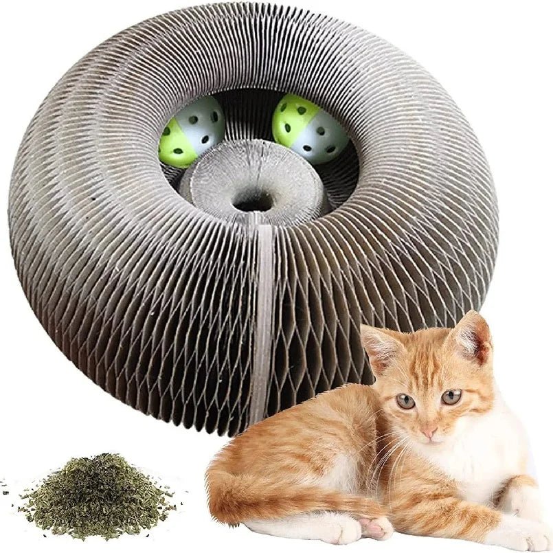 Foldable Cat Scratching Board - Eco - Friendly Cardboard Scratcher - Freddie & Wilson