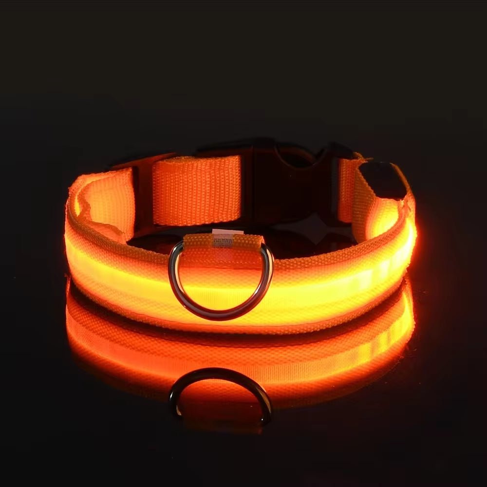 LED Night Safety Dog Collar - Nylon Glow in the Dark Pet Collar - Freddie & Wilson