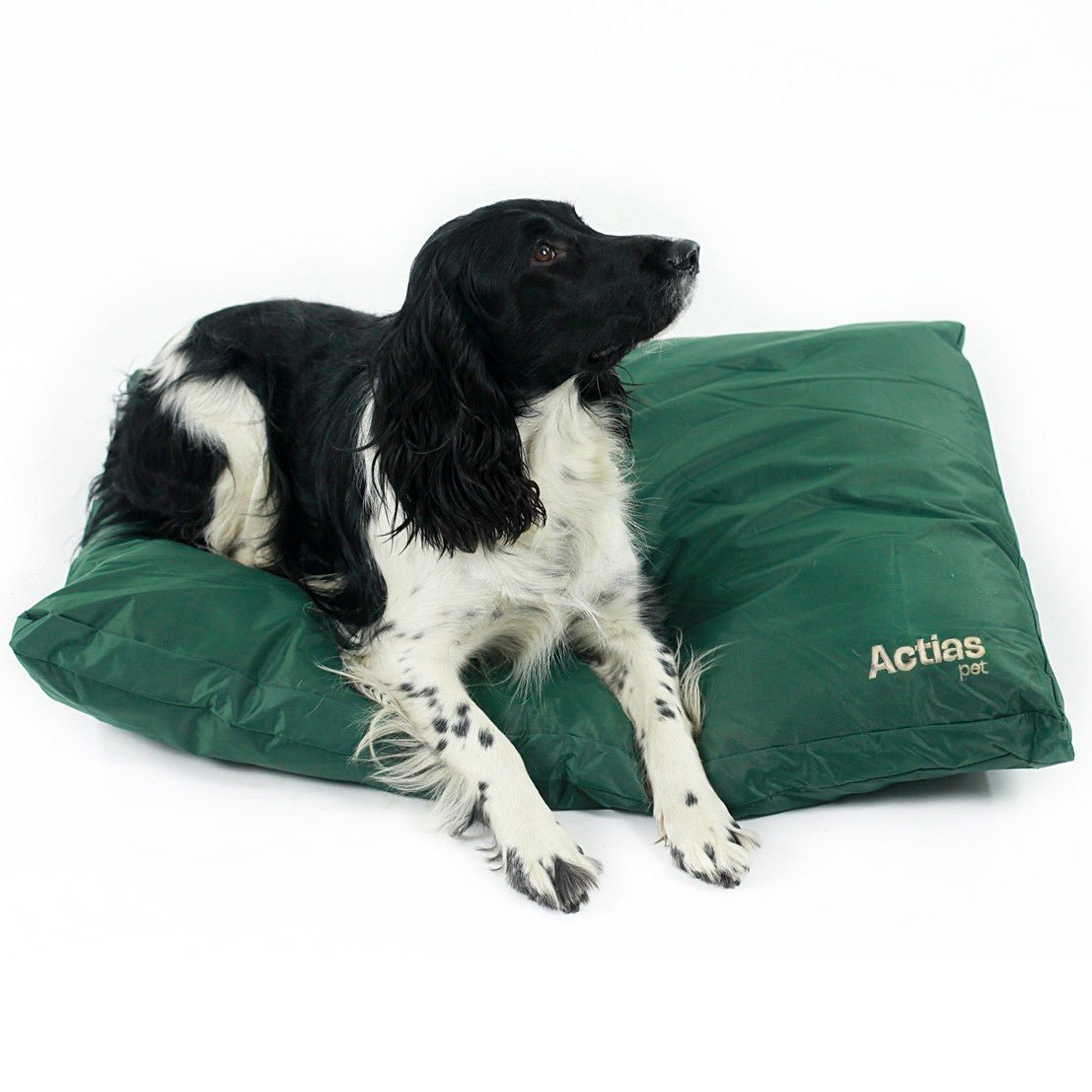 Waterproof Dog Bed Heavy Duty Cover Hardwearing Puppy Pet Cushion Mattress Tough - Freddie & Wilson