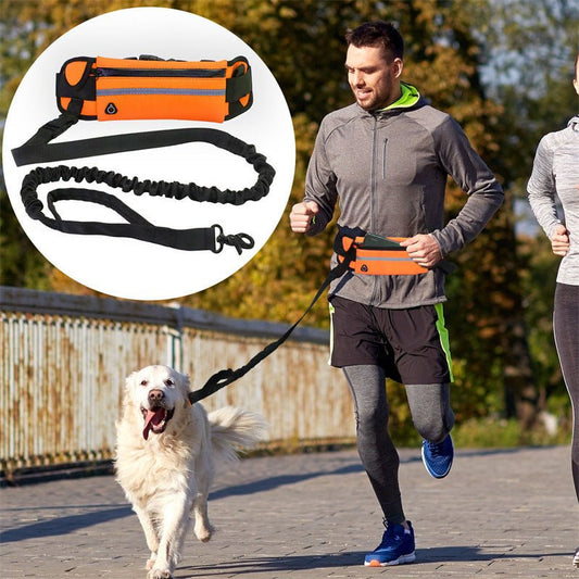 Pet Purse Dog Leash - Hands - Free Walking with Storage Pouch - Freddie & Wilson