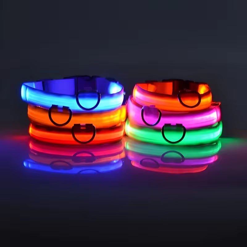 LED Night Safety Dog Collar - Nylon Glow in the Dark Pet Collar - Freddie & Wilson