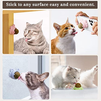 Catnip Wall Balls - Healthy Dental Chew Toys for Cats - Freddie & Wilson