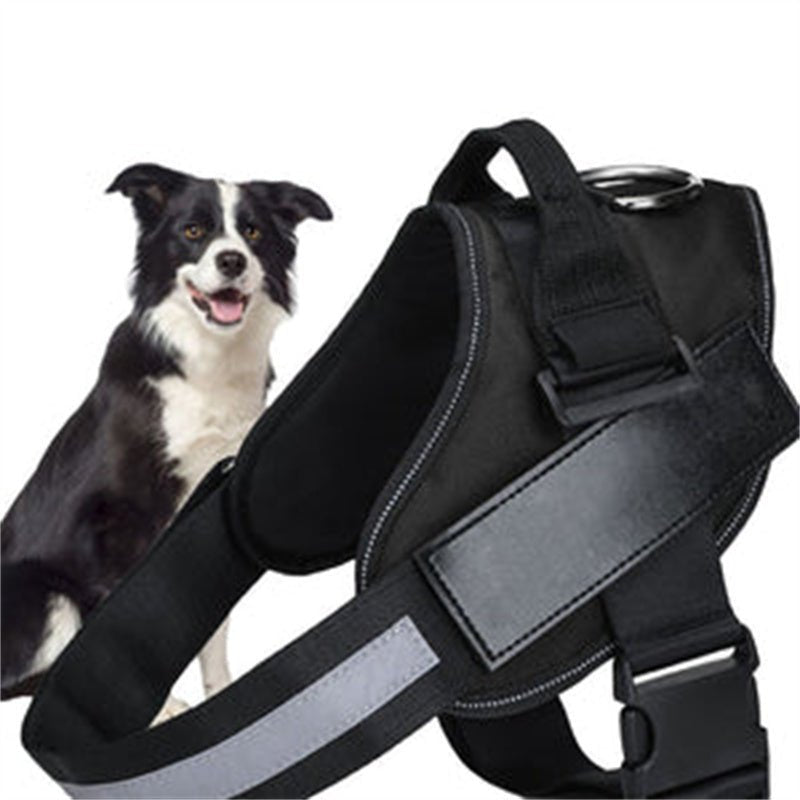 Dog Vest Harness with Leash - Comfortable Chest Strap for Walking - Freddie & Wilson